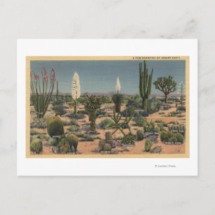 Postal Variedades del desierto de Cacti