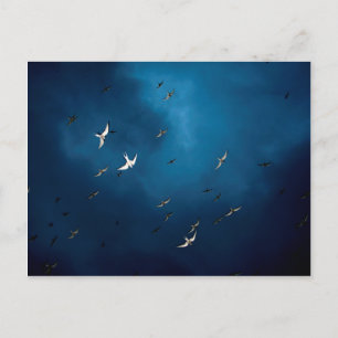 Postal Varios - Patrón de Tierra Ártica y Cielo Azul