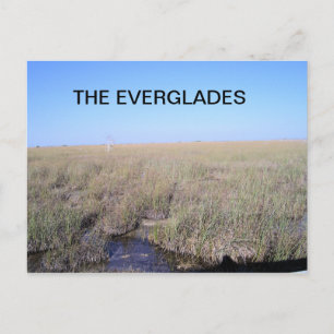 POSTAL VASTEDAD DE LOS EVERGLADES