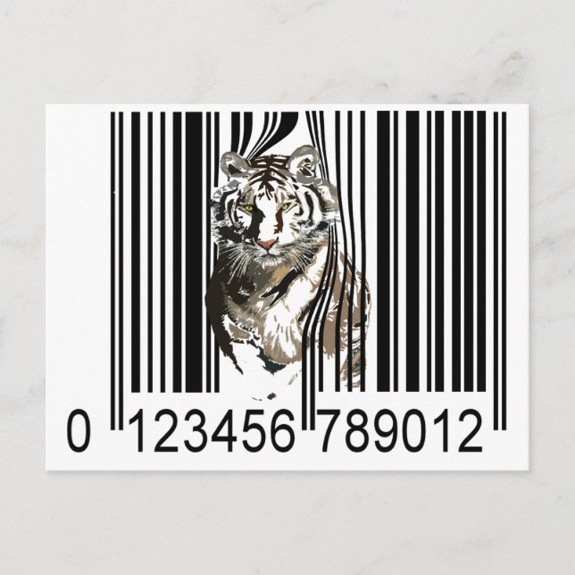 Postal Vector de código de barras de tigre divertido (Anverso)