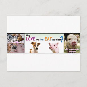 Postal Vegan Gear ¿Cuál es la diferencia?