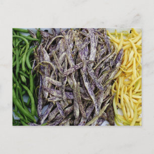 Postal Vegetable De La Cosecha De Judías