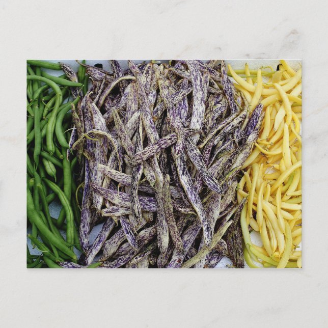Postal Vegetable De La Cosecha De Judías (Anverso)