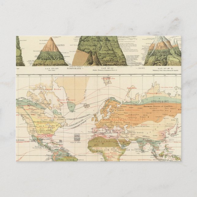 Postal Vegetación de distribución (Anverso)