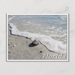 Postal Vegetación de vacaciones de verano en Florida en l