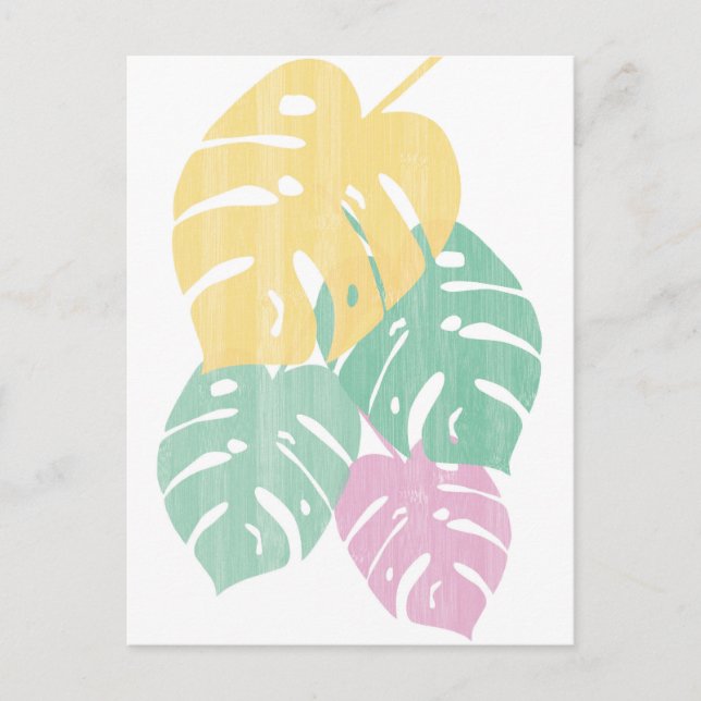 Postal Vegetación tropical - Hojas de Monstera (Anverso)