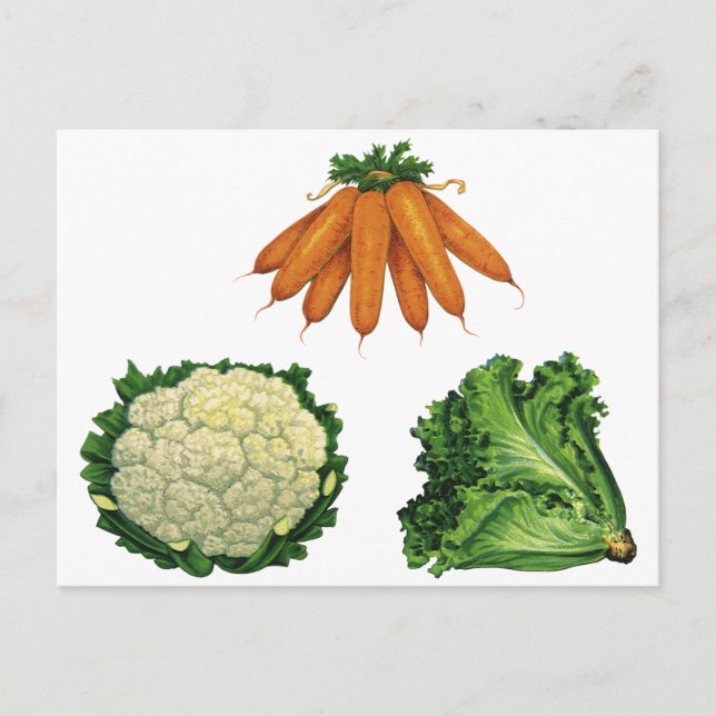Postal Vegetales de época; zanjas, coliflor, lechuga (Anverso)