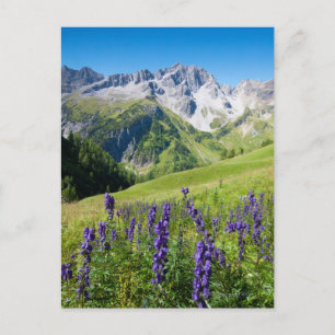 Postal Vegetales de verano con monje en primer plano, el