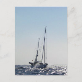 Postal Vegetales Y Sol