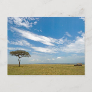 Postal Vehículo de excursión en llanuras africanas abiert