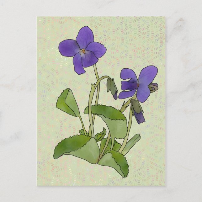 Postal Veilchen (Anverso)