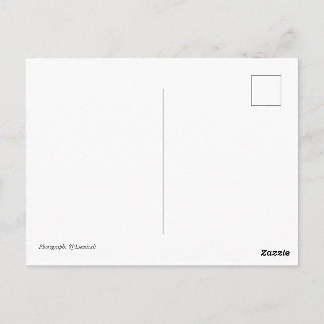Postal Veintitrés (Reverso)