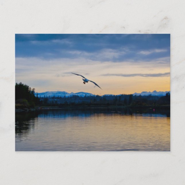 Postal Velada pacífica (Anverso)