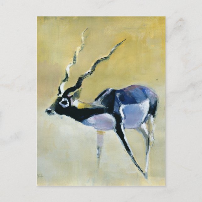 Postal Velavadar de Black Buck 1997 (Anverso)