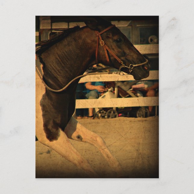 Postal Velocidad completa por delante (Anverso)