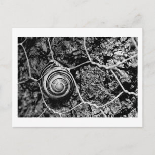 Postal velocidad por cable