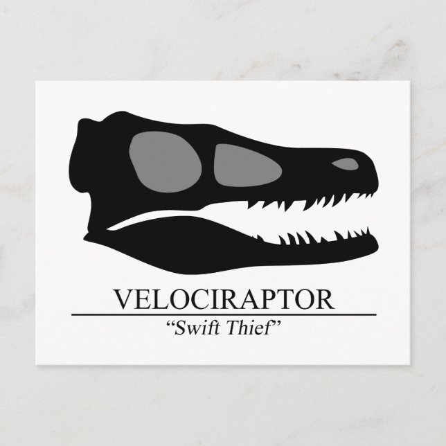 Postal Velociraptor Skull (Anverso)