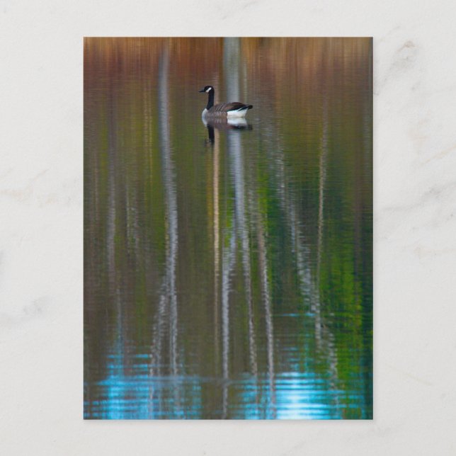 Postal Ven a ver lo que vemos (Anverso)