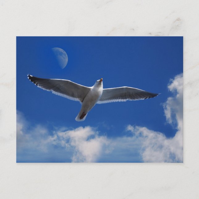 Postal Ven A Volar Conmigo (Anverso)