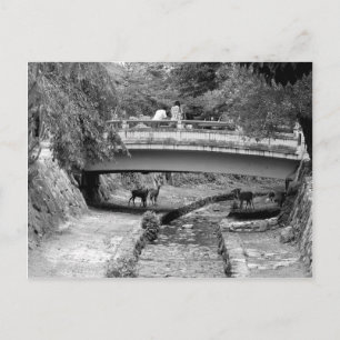 Postal Venado bajo un puente japonés