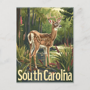 Postal Venado de cola blanca de Carolina del Sur