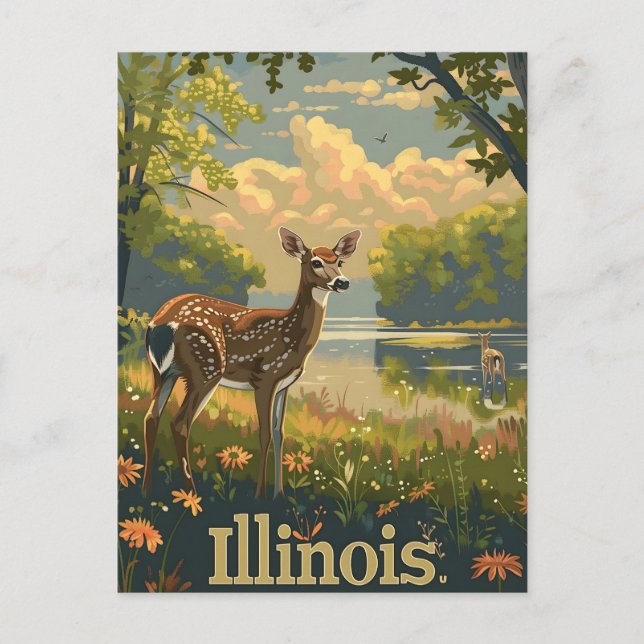 Postal Venado de cola blanca de Illinois (Anverso)