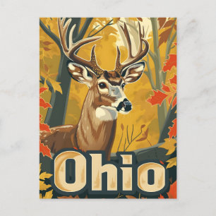Postal Venado de cola blanca de Ohio