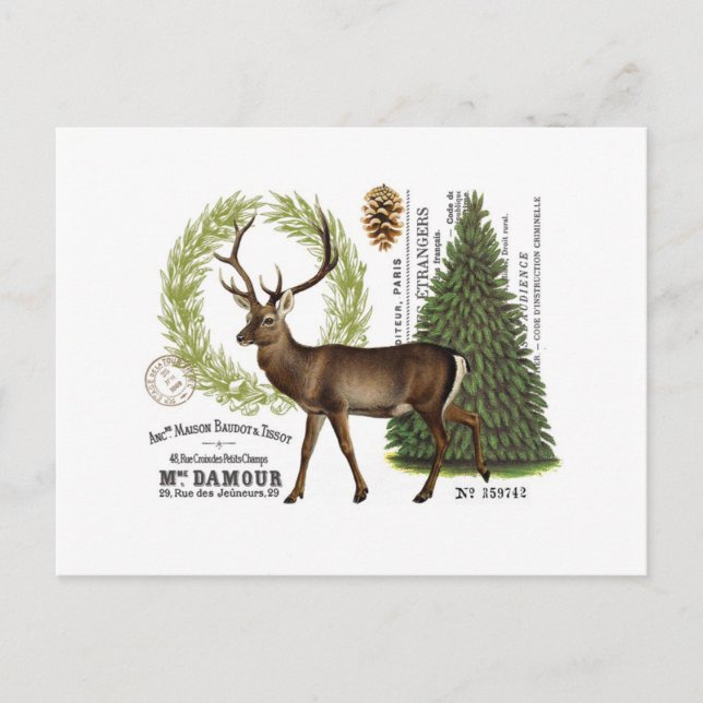 Postal venado de invierno vintage moderno (Anverso)