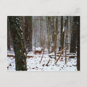 Postal Venado en caída de nieve