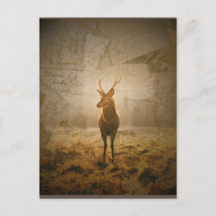 Postal Venado en el bosque