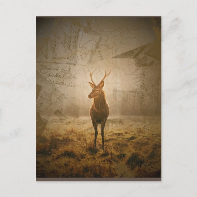 Postal Venado en el bosque (Anverso)