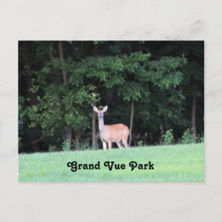 Postal Venado en Grand Vue Park