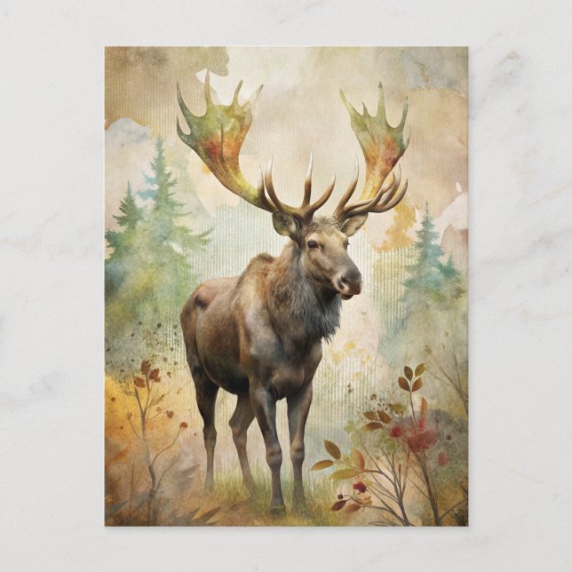 Postal Venado en un bosque (Anverso)