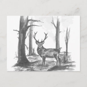 Postal venado en woodsgif