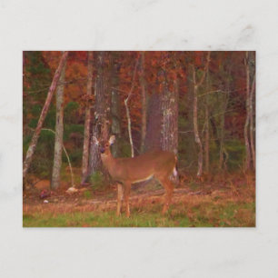 Postal Venado, verde Grasa roja y hojas de oro
