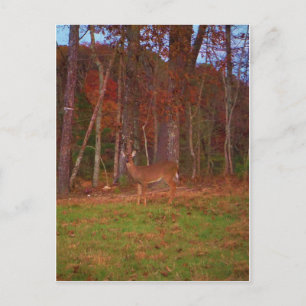Postal Venado, verde Grasa roja y hojas de oro