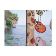 Vende conchas marinas