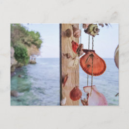 Postal Vende conchas marinas