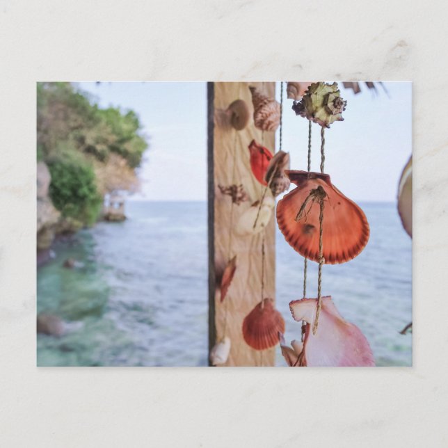 Postal Vende conchas marinas (Anverso)