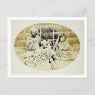 Postal Vendedoras de verduras y frutas hindúes en Madrás,