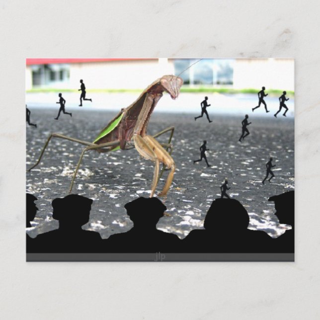 Postal Venganza de los antis rezando (Anverso)