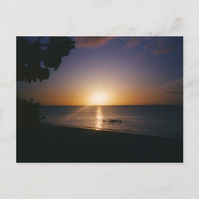 Postal Venice Beach Sunset (Anverso)