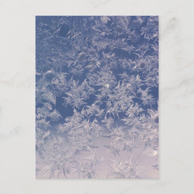 Postal Ventana Copos de nieve (Anverso)