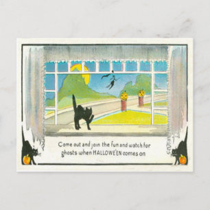 Postal Ventana de Bruja Gato Negro Jack O Lantern Calabaz