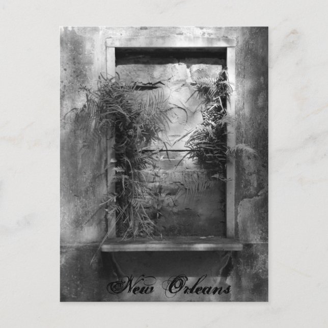 Postal Ventana de cartón (Anverso)