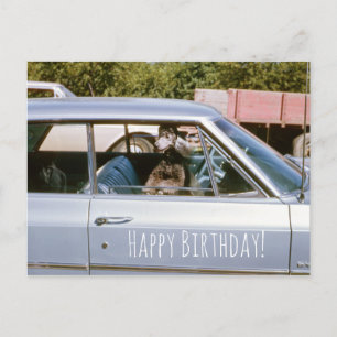 Postal Ventana de salida de cabeza de perro de cachorro n