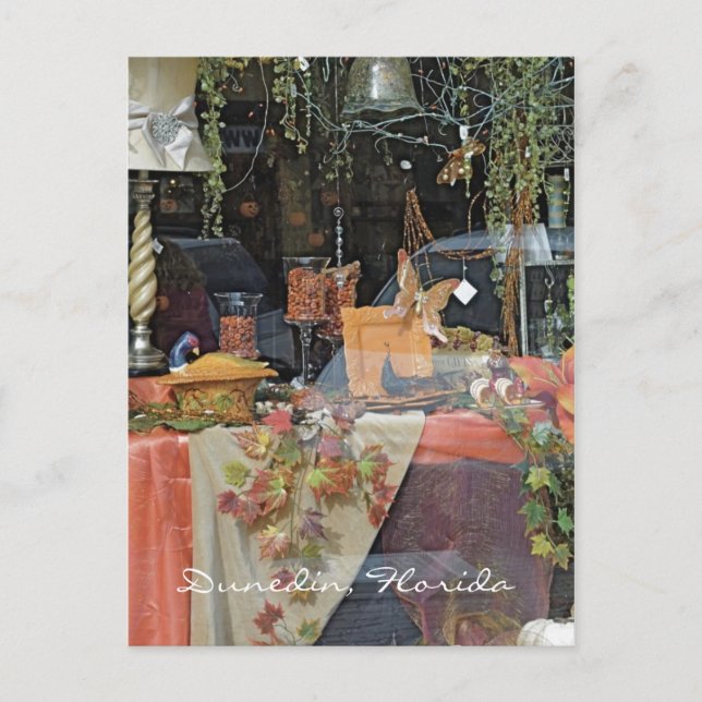 Postal Ventana de Tienda de Regalos - Dunedin (Anverso)