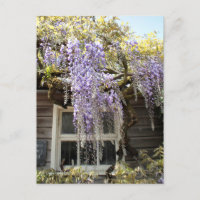 Ventana de Wisteria - Flores de glicinia ocultas