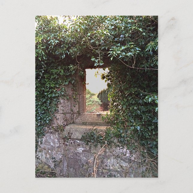 Postal Ventana lateral en el cultivo de West Kirk (Anverso)