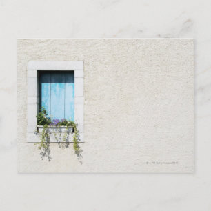 Postal Ventana y ventana de flores en la pared llana
